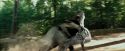PdA-Potterish_2395.jpg