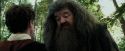 PdA-Potterish_2408.jpg