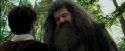 PdA-Potterish_2412.jpg