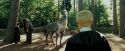 PdA-Potterish_2418.jpg