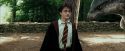 PdA-Potterish_2460.jpg