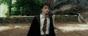 PdA-Potterish_2461.jpg