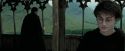 PdA-Potterish_2998.jpg