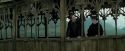PdA-Potterish_3022.jpg