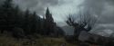 PdA-Potterish_3273.jpg