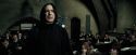 PdA-Potterish_3345.jpg