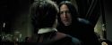 PdA-Potterish_3403.jpg