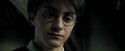 PdA-Potterish_3429.jpg