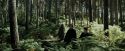 PdA-Potterish_3660.jpg