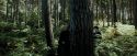 PdA-Potterish_3672.jpg