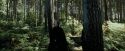 PdA-Potterish_3673.jpg