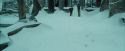 PdA-Potterish_3763.jpg
