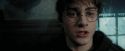 PdA-Potterish_4141.jpg