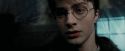PdA-Potterish_4170.jpg
