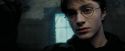 PdA-Potterish_4182.jpg