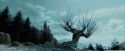 PdA-Potterish_4277.jpg