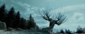 PdA-Potterish_4278.jpg