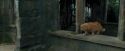 PdA-Potterish_4594.jpg