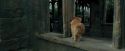 PdA-Potterish_4595.jpg