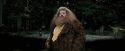 PdA-Potterish_4601.jpg