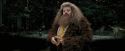 PdA-Potterish_4602.jpg