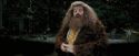 PdA-Potterish_4603.jpg