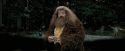 PdA-Potterish_4604.jpg