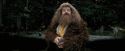 PdA-Potterish_4606.jpg