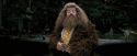 PdA-Potterish_4607.jpg
