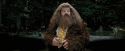 PdA-Potterish_4608.jpg