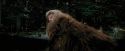 PdA-Potterish_4610.jpg