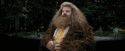 PdA-Potterish_4622.jpg
