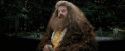 PdA-Potterish_4623.jpg