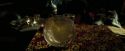 PdA-Potterish_5158.jpg