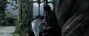 PdA-Potterish_5267.jpg