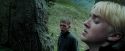 PdA-Potterish_5309.jpg