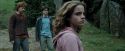 PdA-Potterish_5310.jpg