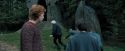 PdA-Potterish_5320.jpg