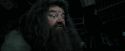 PdA-Potterish_5395.jpg