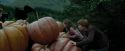 PdA-Potterish_5474.jpg
