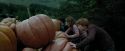 PdA-Potterish_5476.jpg
