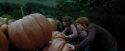 PdA-Potterish_5477.jpg