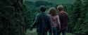 PdA-Potterish_5523.jpg