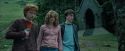 PdA-Potterish_5544.jpg