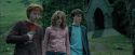 PdA-Potterish_5545.jpg
