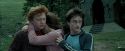 PdA-Potterish_5560.jpg