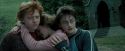 PdA-Potterish_5563.jpg