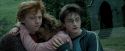 PdA-Potterish_5564.jpg