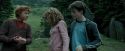 PdA-Potterish_5571.jpg