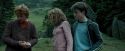 PdA-Potterish_5572.jpg